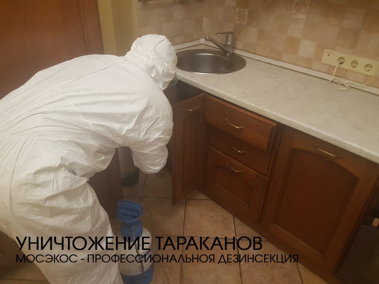 Служба по уничтожению тараканов в Путилково