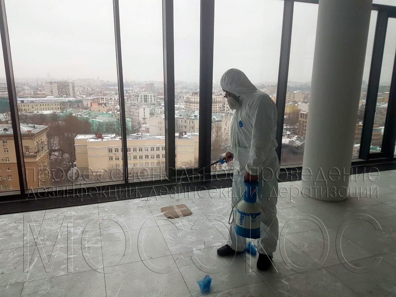 Уничтожение клопов в офисе  в Путилково