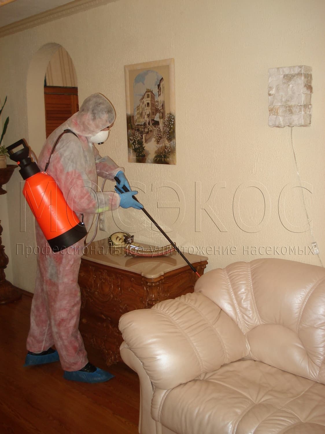 Клопы дома: как избавиться от паразитов в Путилково